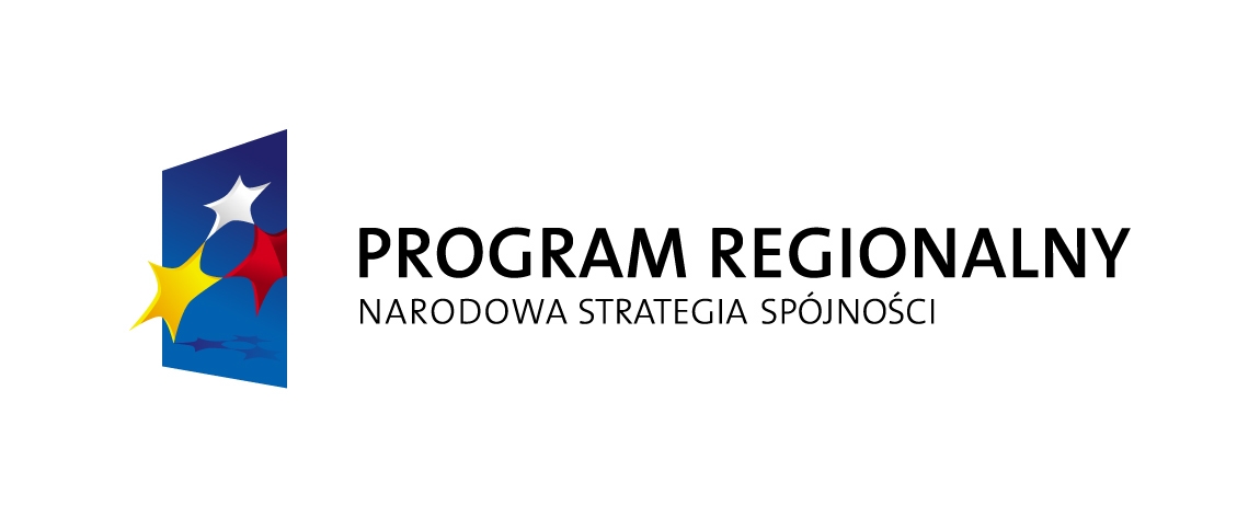 "Budowa infrastruktury informatycznej dla Subregionu Północnego E-region częstochowski"